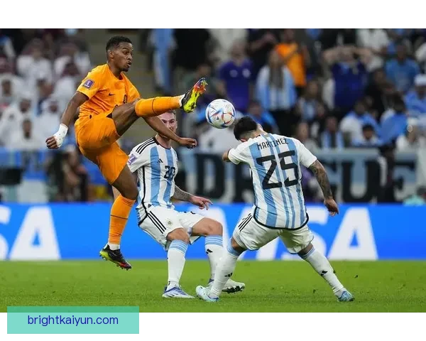 利桑德罗在世界杯决赛中的表现备受期待，能否帮助球队夺冠成疑。